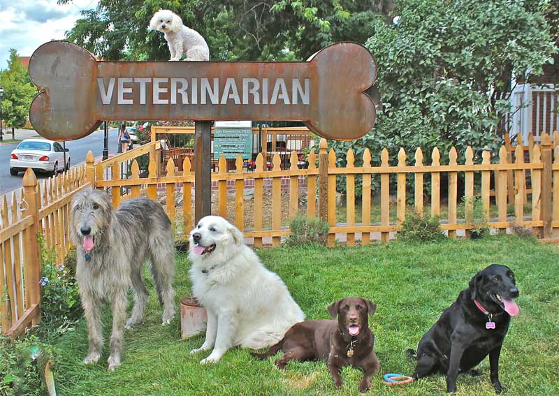 Carousel Slide 7: Learn more about us