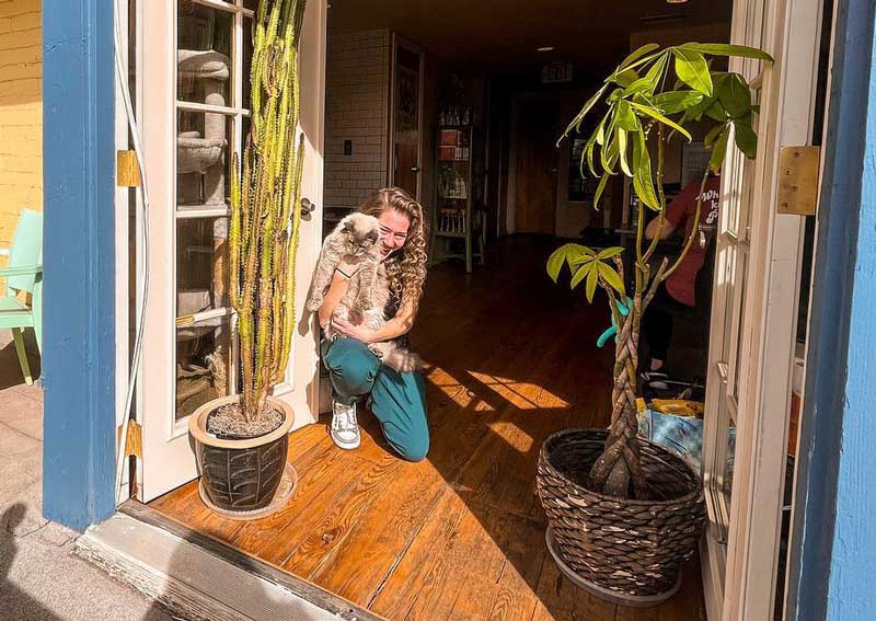 Carousel Slide 5: Cat veterinary care