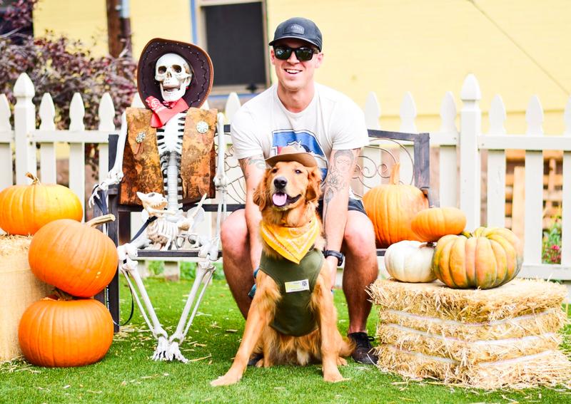 Carousel Slide 3: Veterinary career information